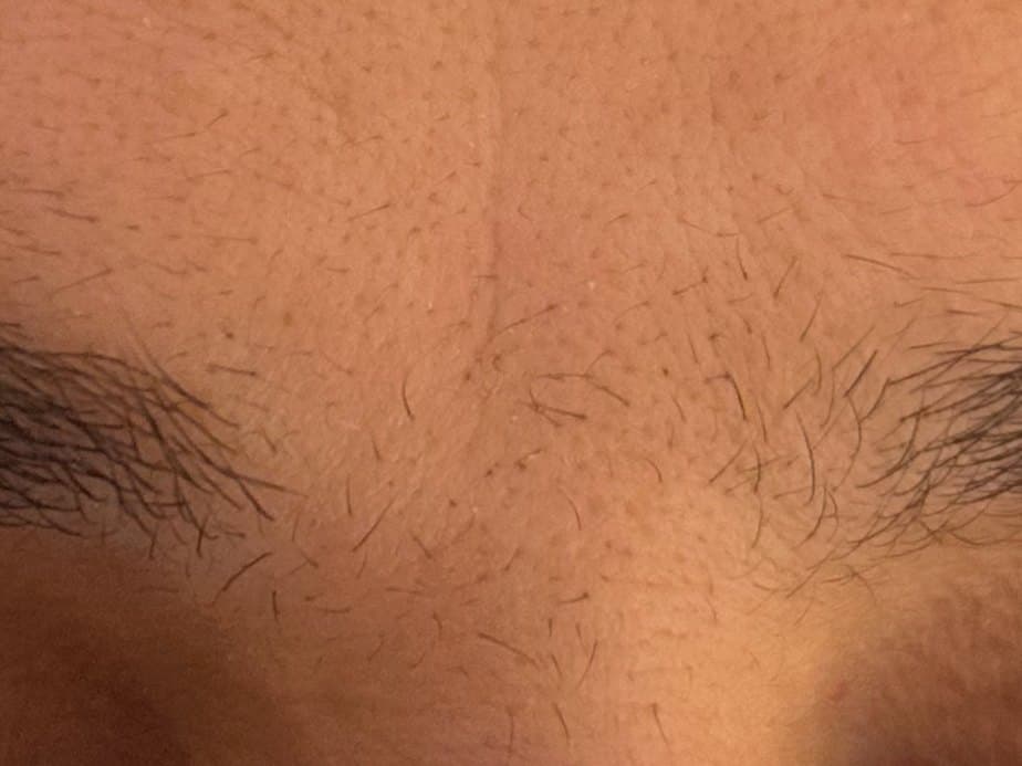 Brows before